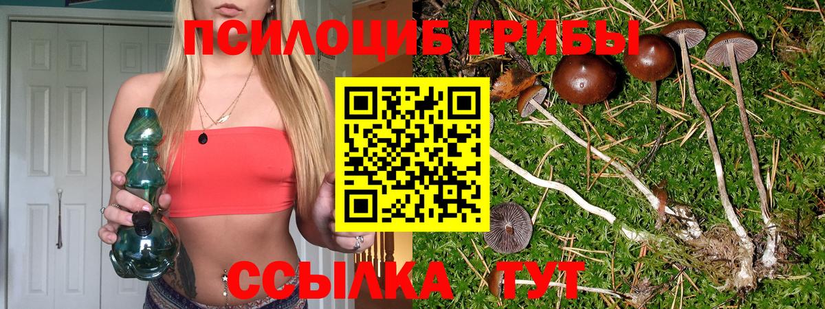 Галлюциногенные грибы MAGIC MUSHROOMS Протвино