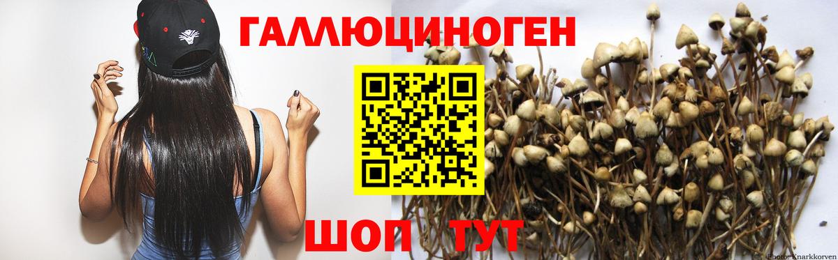 Галлюциногенные грибы MAGIC MUSHROOMS  Вход с VPN  Протвино 